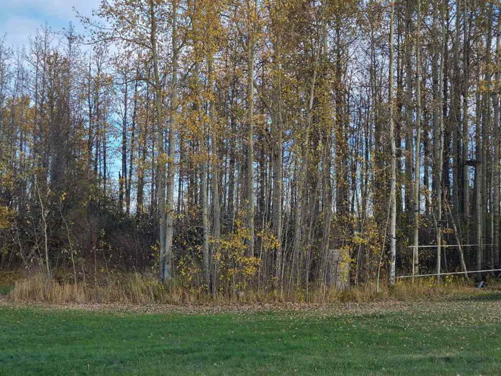 MLS® A2203465 - Unit #Lot 13 70539 RR250   in NONE Rural Greenview No. 16, M.D. of, Residential