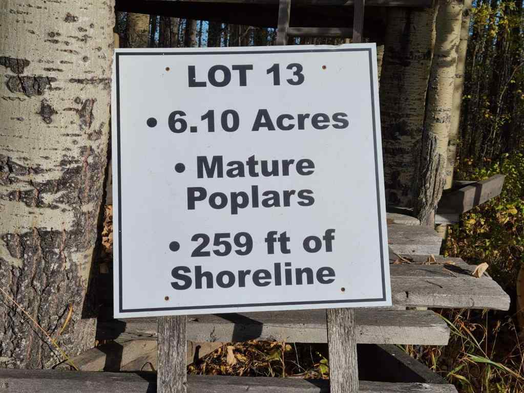 MLS® A2203465 - Unit #Lot 13 70539 RR250   in NONE Rural Greenview No. 16, M.D. of, Residential