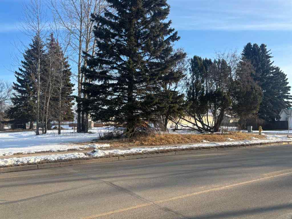 MLS® A2203730 - 4504 55 Avenue  in NONE Whitecourt, Land