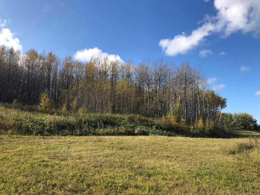 MLS® A2203769 - Unit #111 16326 Twp Rd 675   in NONE Plamondon, Land