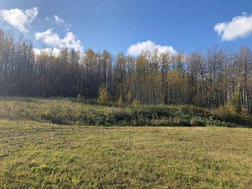 MLS® A2203769 - Unit #111 16326 Twp Rd 675   in NONE Plamondon, Land