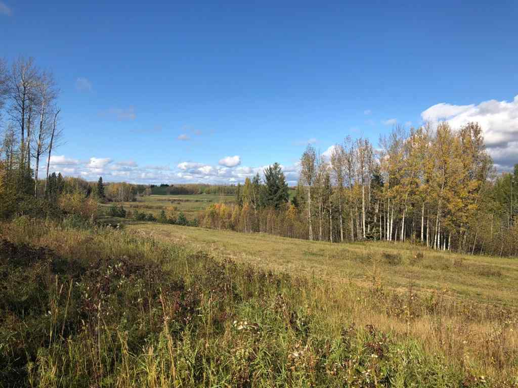 MLS® A2203769 - Unit #111 16326 Twp Rd 675   in NONE Plamondon, Land
