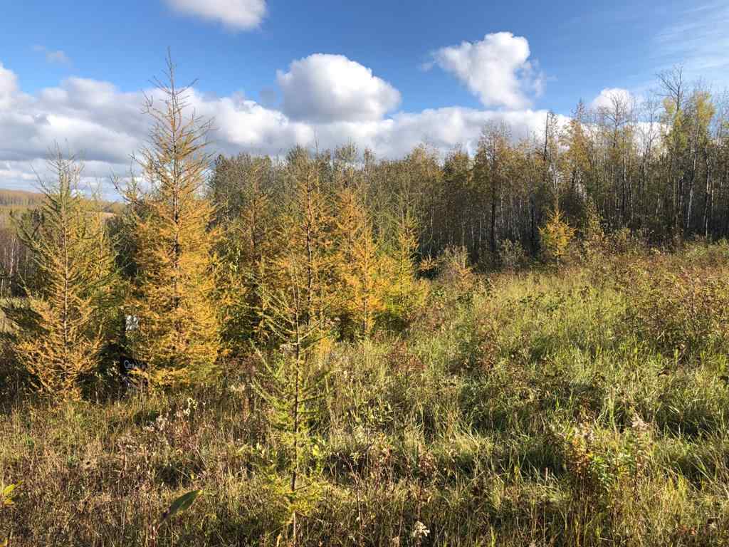 MLS® A2203769 - Unit #111 16326 Twp Rd 675   in NONE Plamondon, Land