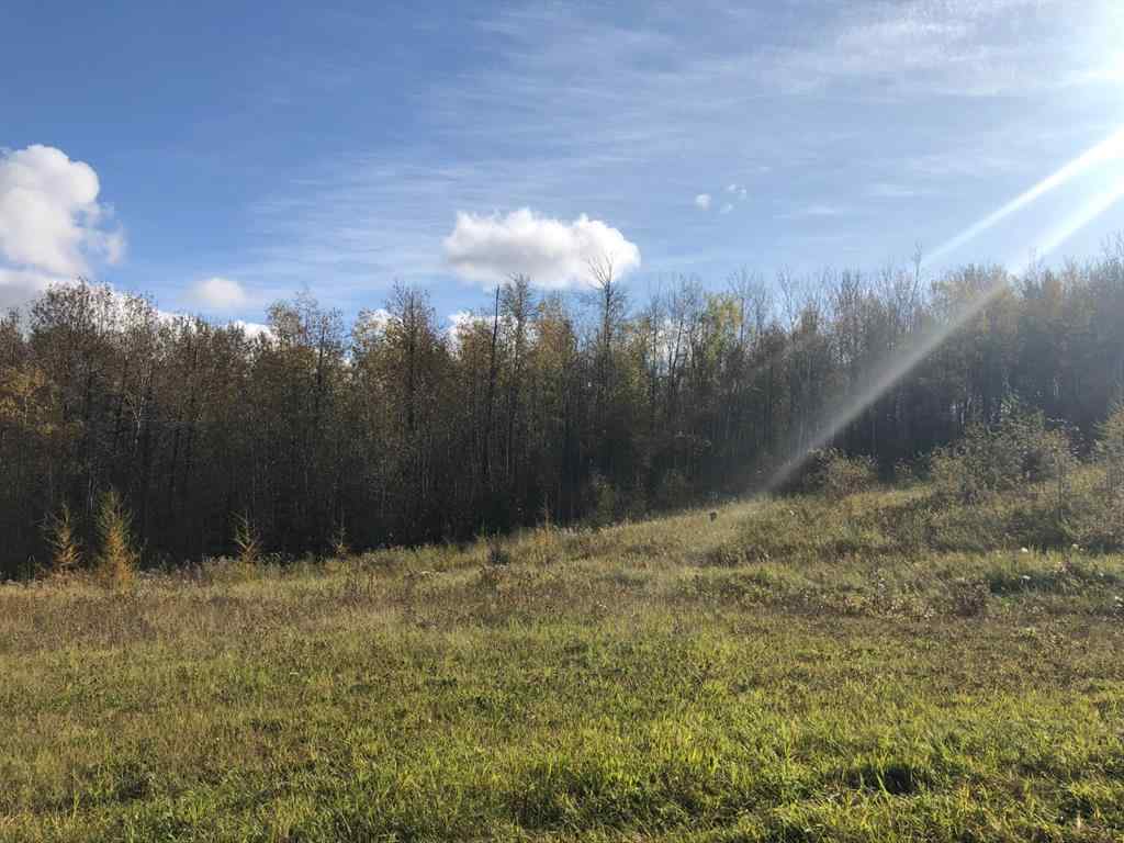 MLS® A2203769 - Unit #111 16326 Twp Rd 675   in NONE Plamondon, Land