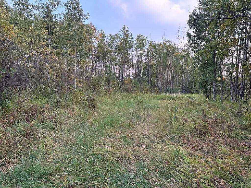 MLS® A2203926 - NE-22-74 -3 W6   in NONE Rural Grande Prairie No. 1, County of, Land