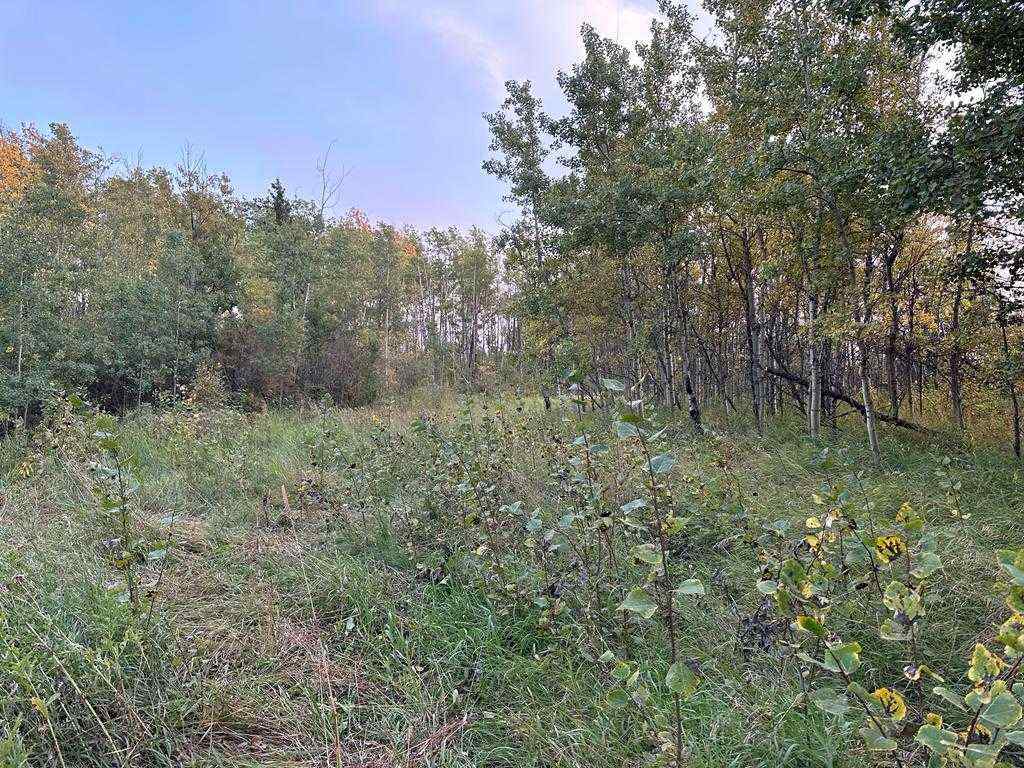 MLS® A2203926 - NE-22-74 -3 W6   in NONE Rural Grande Prairie No. 1, County of, Land