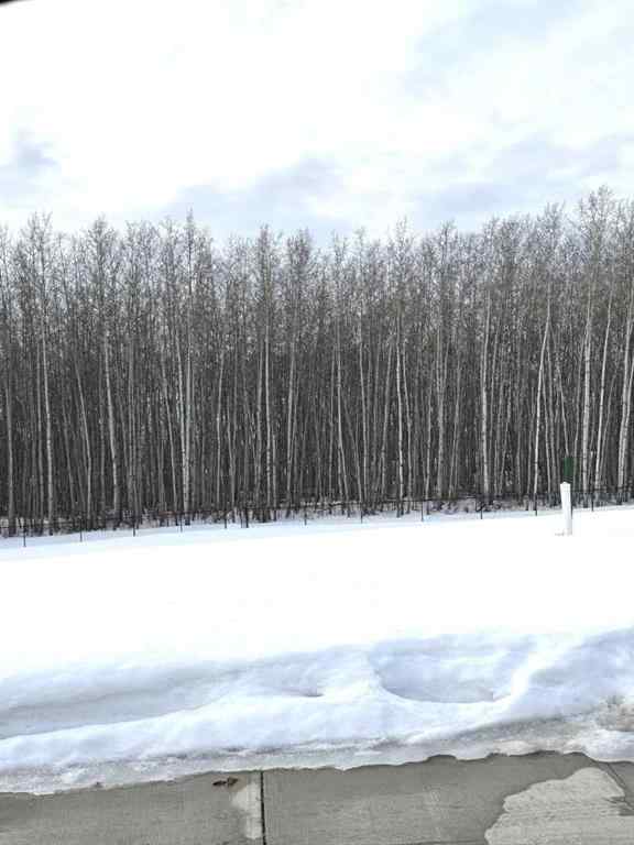 MLS® A2203929 - 11917 79 Avenue  in Kensington Grande Prairie, Land