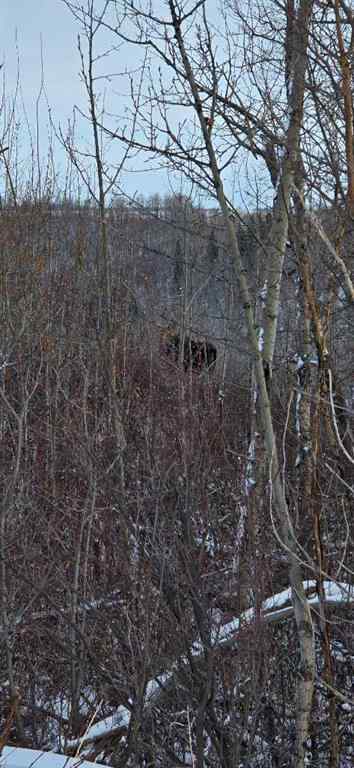 MLS® A2203957 -  Twp 790 and RR 233 Township  in NONE Rural Smoky River No. 130, M.D. of, Land
