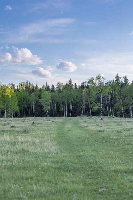 MLS® A2204088 - 231175 Bracken Road  in West Bragg Creek Bragg Creek, Land