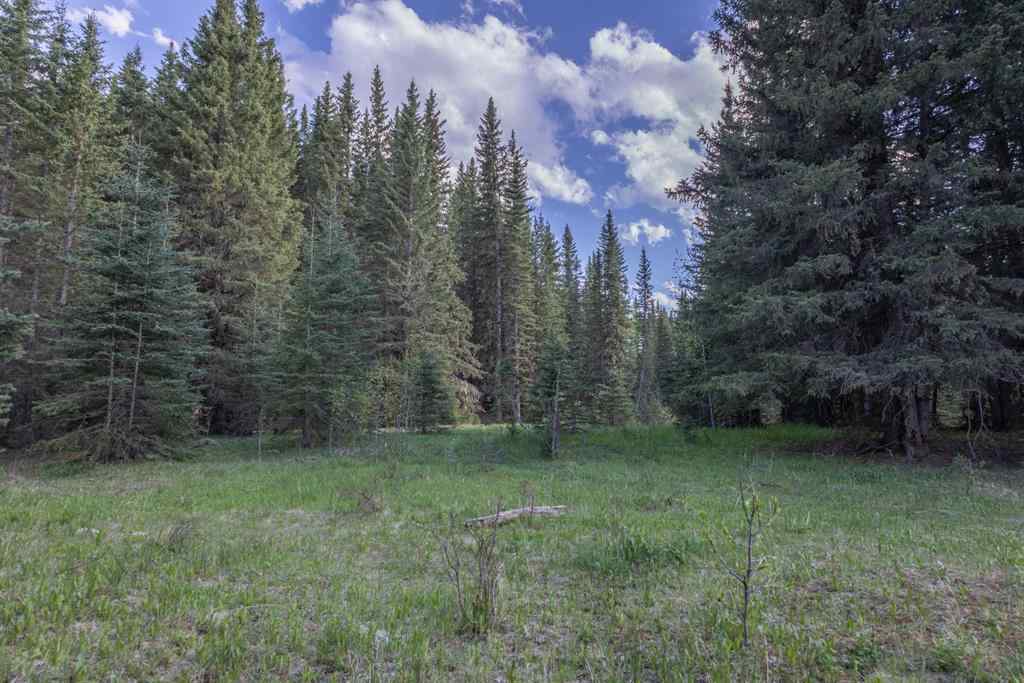 MLS® A2204088 - 231175 Bracken Road  in West Bragg Creek Bragg Creek, Land