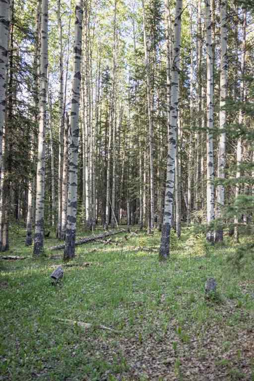 MLS® A2204088 - 231175 Bracken Road  in West Bragg Creek Bragg Creek, Land