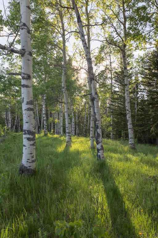 MLS® A2204088 - 231175 Bracken Road  in West Bragg Creek Bragg Creek, Land