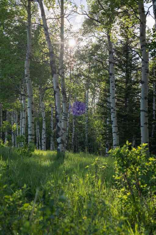 MLS® A2204088 - 231175 Bracken Road  in West Bragg Creek Bragg Creek, Land