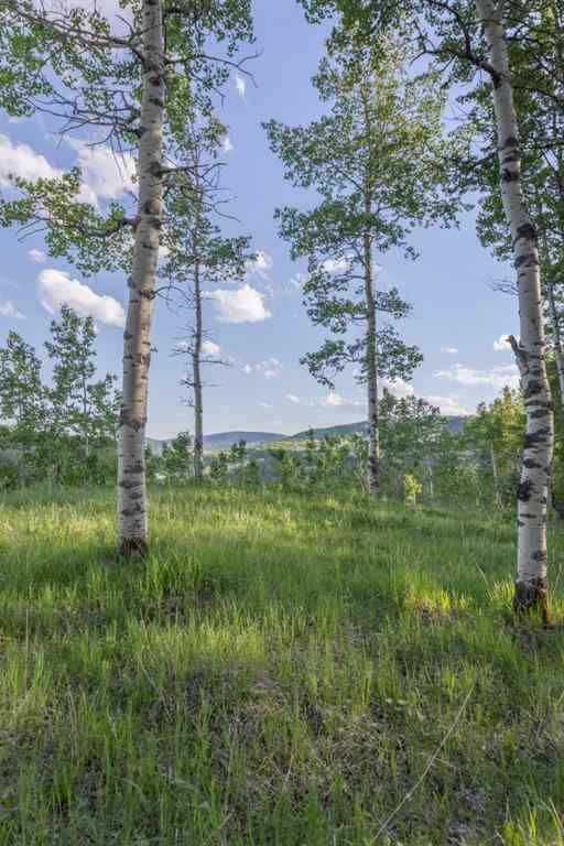 MLS® A2204088 - 231175 Bracken Road  in West Bragg Creek Bragg Creek, Land