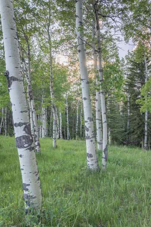 MLS® A2204088 - 231175 Bracken Road  in West Bragg Creek Bragg Creek, Land