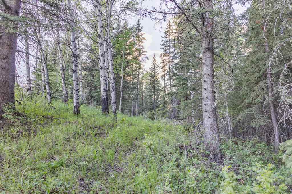MLS® A2204088 - 231175 Bracken Road  in West Bragg Creek Bragg Creek, Land