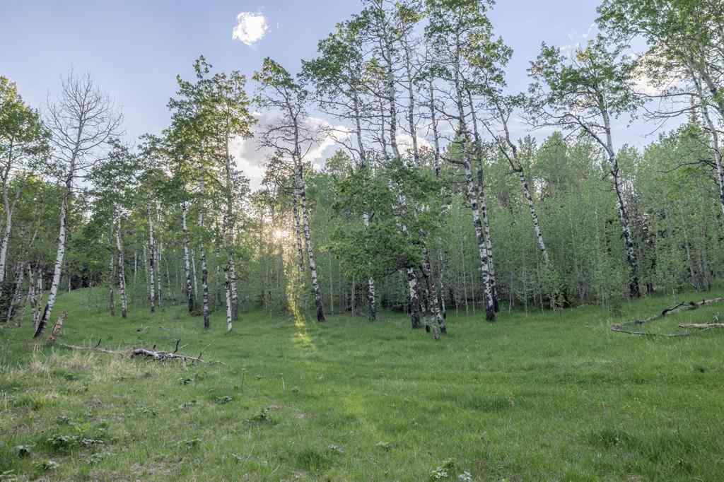 MLS® A2204088 - 231175 Bracken Road  in West Bragg Creek Bragg Creek, Land
