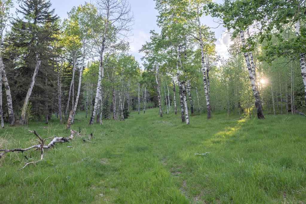 MLS® A2204088 - 231175 Bracken Road  in West Bragg Creek Bragg Creek, Land