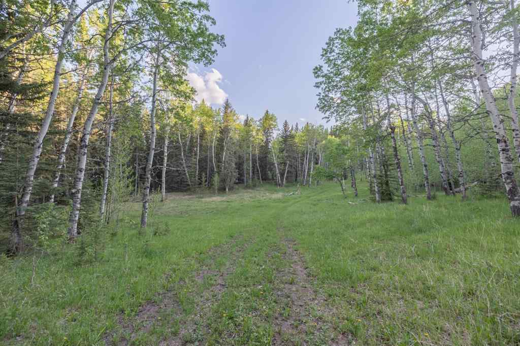 MLS® A2204088 - 231175 Bracken Road  in West Bragg Creek Bragg Creek, Land
