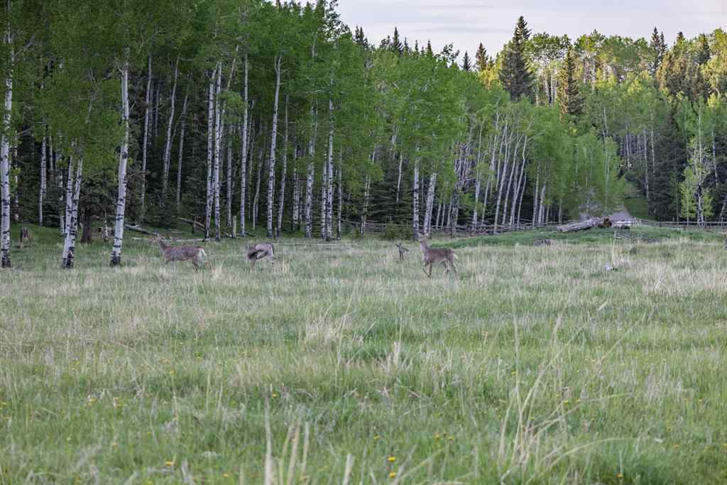 MLS® A2204088 - 231175 Bracken Road  in West Bragg Creek Bragg Creek, Land