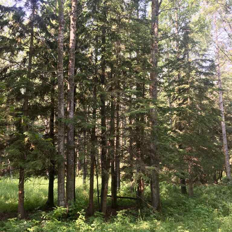 MLS® A2204466 - ON Highway 771   in NONE Rural Ponoka County, Agri-Business