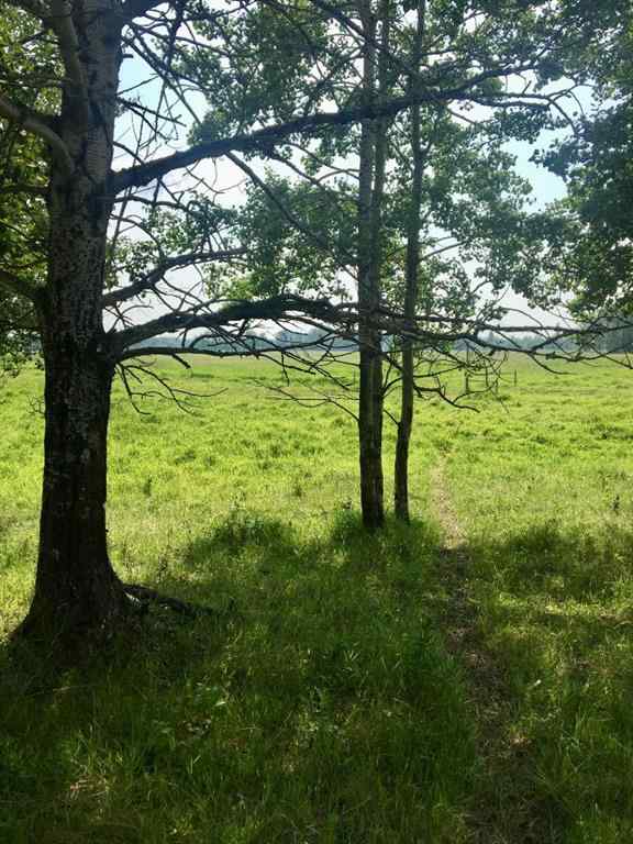 MLS® A2204466 - ON Highway 771   in NONE Rural Ponoka County, Agri-Business