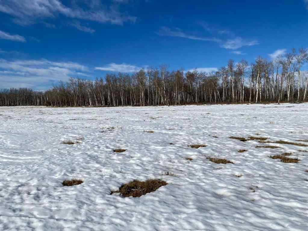 MLS® A2204665 - On Range Road 11   in NONE Rural Red Deer County, Land