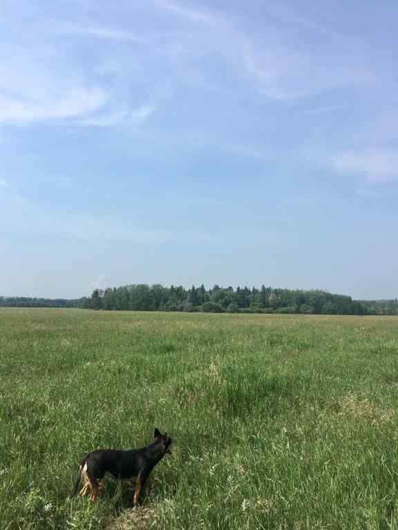 MLS® A2204783 - ON Highway 771   in NONE Rural Ponoka County, Land