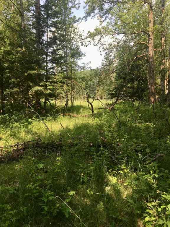 MLS® A2204783 - ON Highway 771   in NONE Rural Ponoka County, Land
