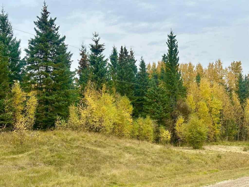 MLS® A2204832 - Lot 1 Mountain Springs   in NONE Rural Woodlands County, Land
