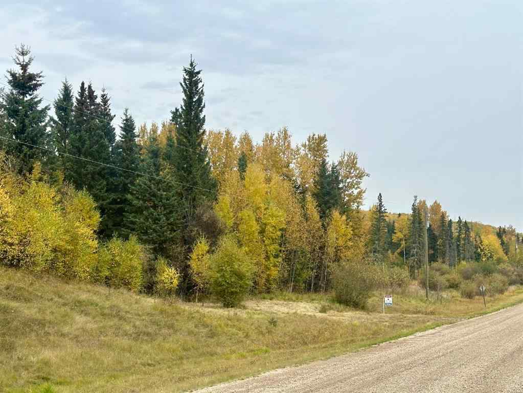MLS® A2204832 - Lot 1 Mountain Springs   in NONE Rural Woodlands County, Land