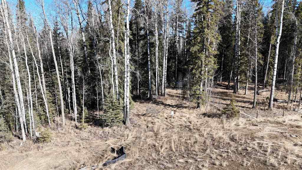 MLS® A2204958 -  Township Road 570   in NONE Rural Yellowhead County, Land