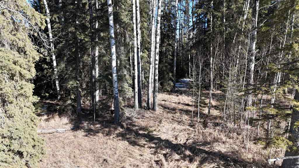 MLS® A2204958 -  Township Road 570   in NONE Rural Yellowhead County, Land