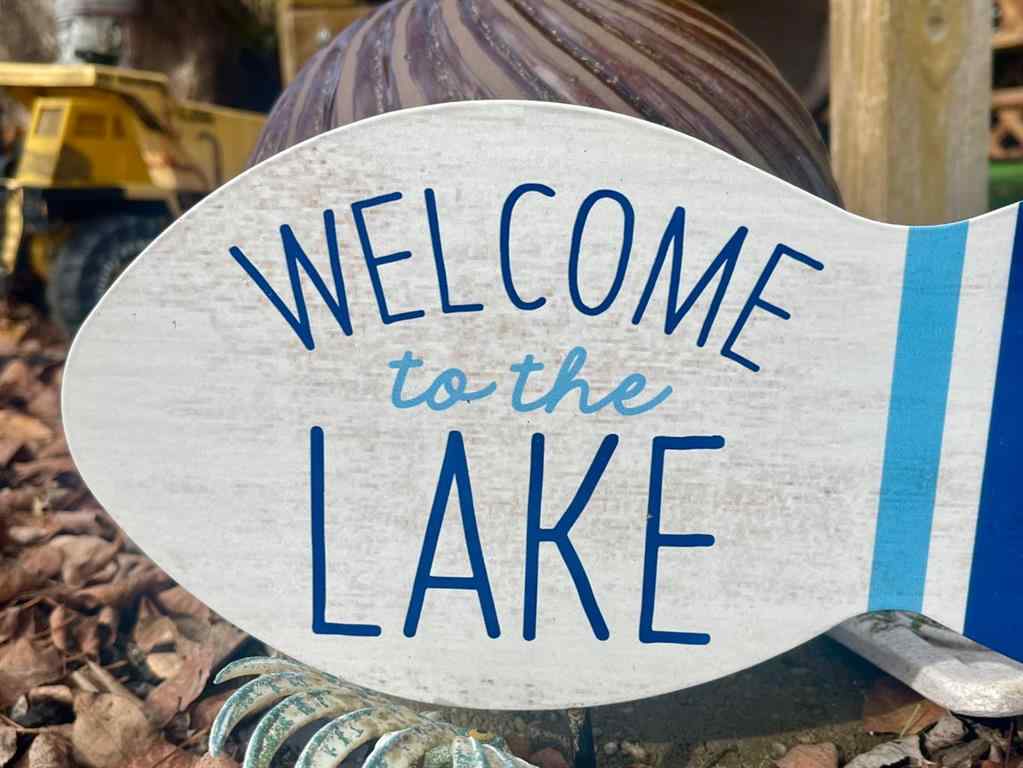 MLS® A2206013 - 24 Lakeview Drive  in NONE Hardisty, Residential