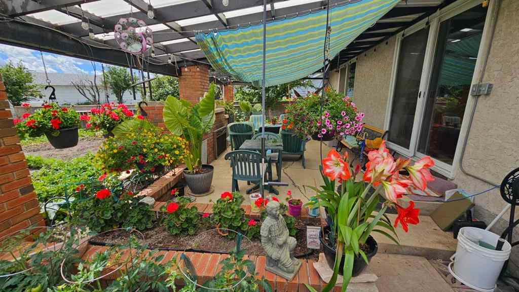 MLS® A2206099 - 4913 Parkview Crescent  in NONE Castor, Residential