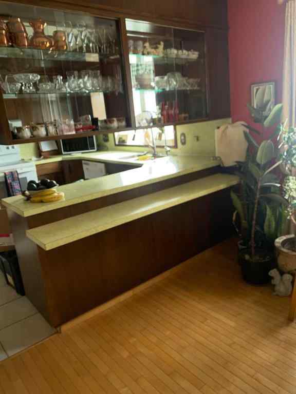 MLS® A2206099 - 4913 Parkview Crescent  in NONE Castor, Residential