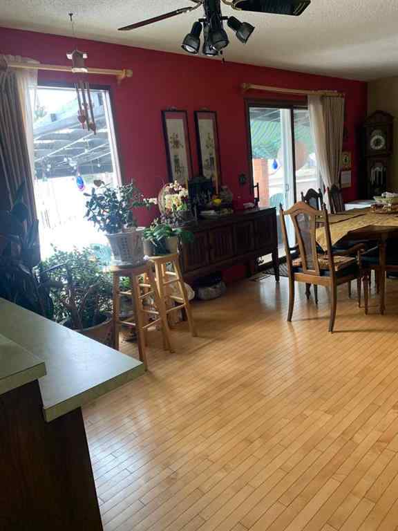 MLS® A2206099 - 4913 Parkview Crescent  in NONE Castor, Residential