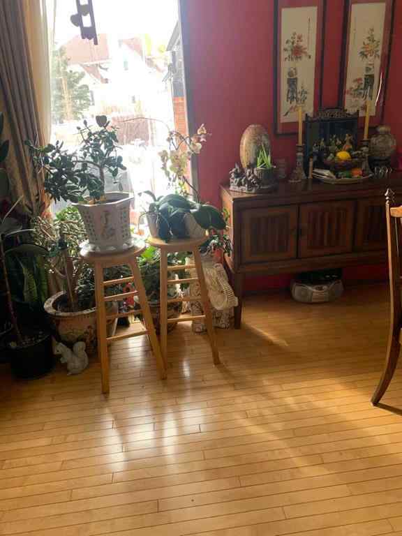 MLS® A2206099 - 4913 Parkview Crescent  in NONE Castor, Residential