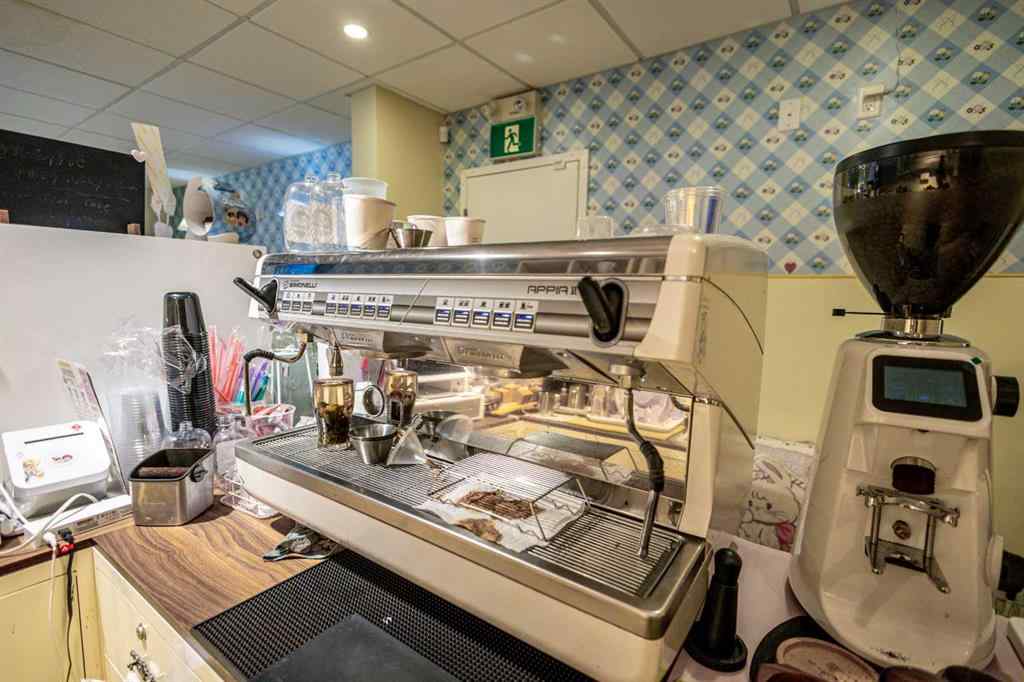 MLS® A2206149 - 536 16 Avenue NW in Mount Pleasant Calgary, Commercial