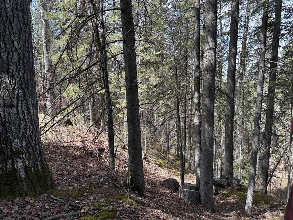 MLS® A2206156 - Unit #10 32376 760 Highway  in NONE Rural Mountain View County, Residential
