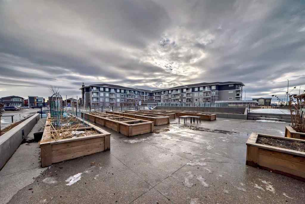 MLS® A2206545 - Unit #2417 76 Cornerstone Passage NE in Cornerstone Calgary, Residential