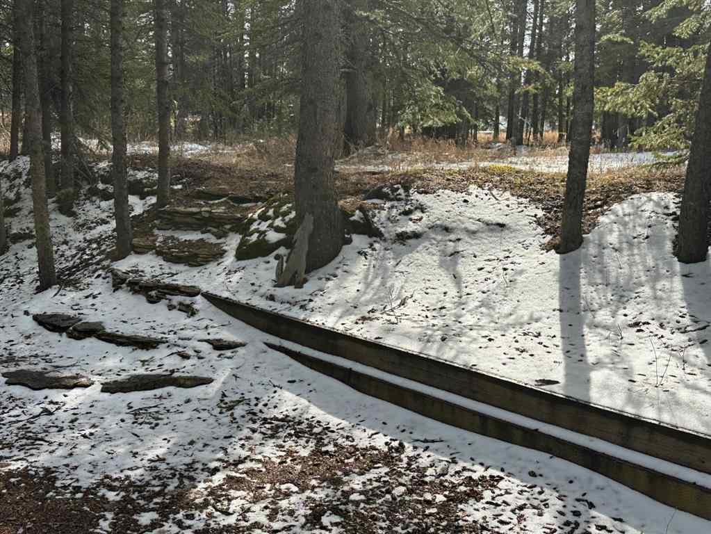 MLS® A2206942 - Unit #48 32379 Range Road 55   in Coyote Creek Rural Mountain View County, Land