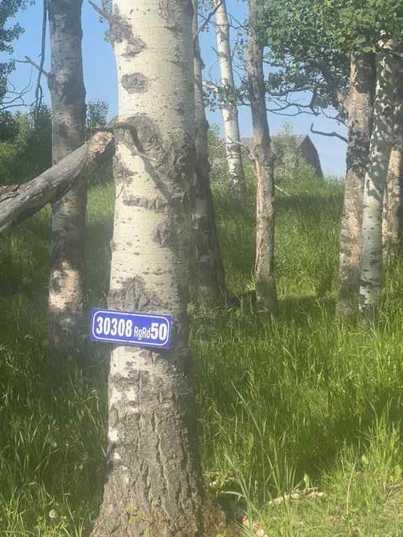 MLS® A2206990 -  30308 RR50   in NONE Rural Mountain View County, Land