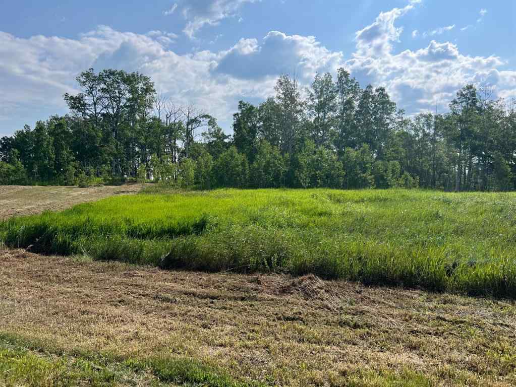 MLS® A2206990 -  30308 RR50   in NONE Rural Mountain View County, Land