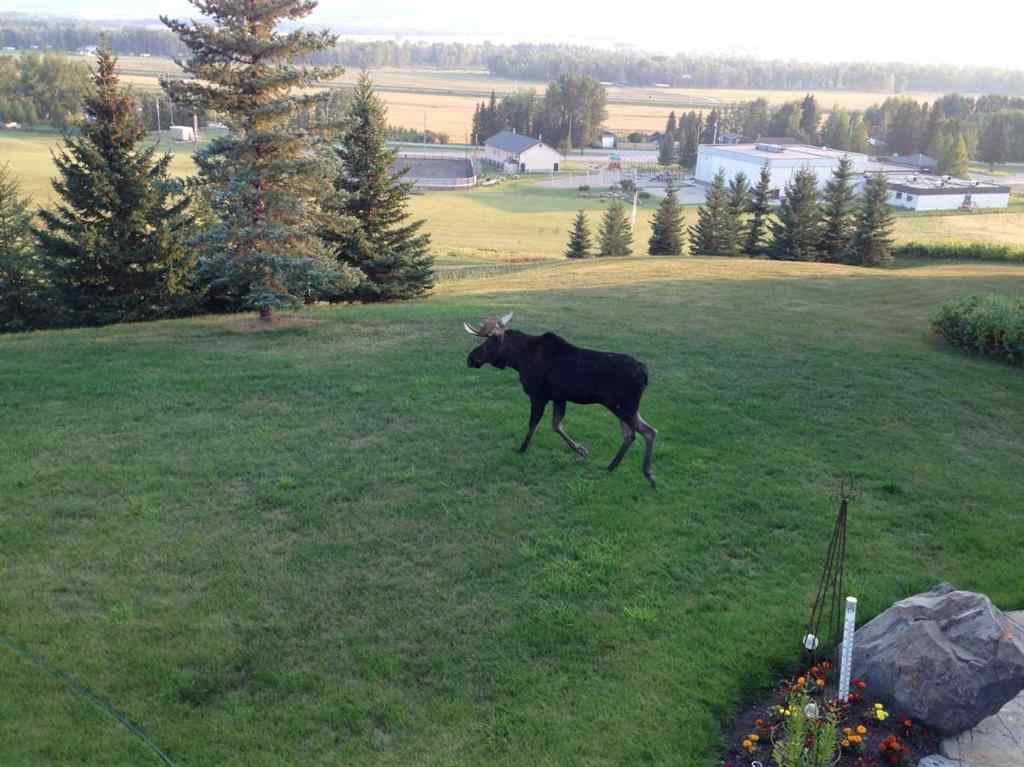MLS® A2207297 - 224035 318 Avenue W in Millarville Ridge Rural Foothills County, Residential