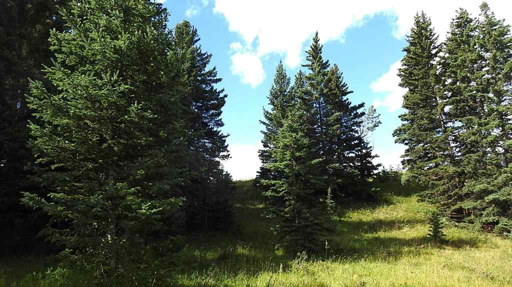 MLS® A2207390 - 15404 85 Street SW in NONE Calgary, Land