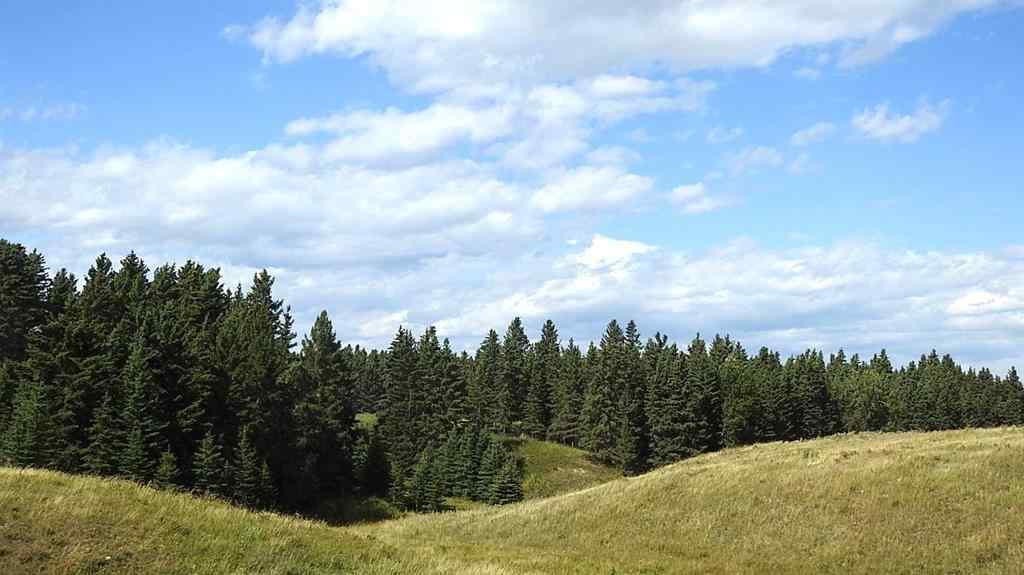 MLS® A2207390 - 15404 85 Street SW in NONE Calgary, Land