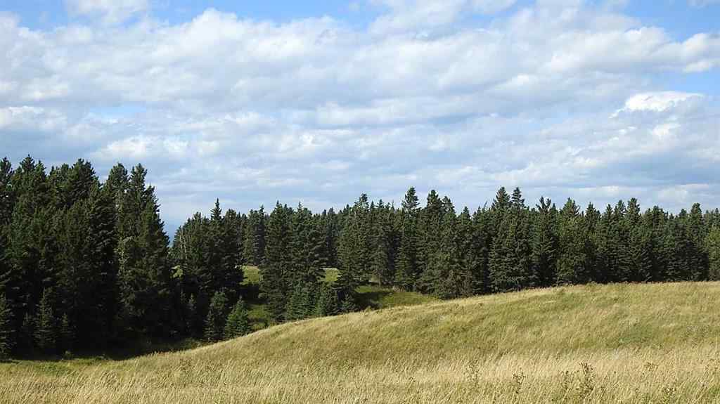MLS® A2207390 - 15404 85 Street SW in NONE Calgary, Land