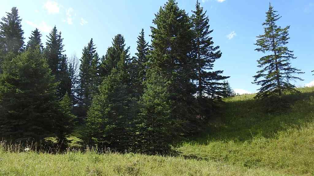 MLS® A2207390 - 15404 85 Street SW in NONE Calgary, Land