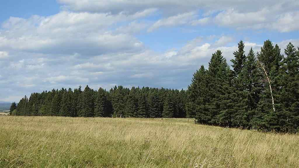 MLS® A2207390 - 15404 85 Street SW in NONE Calgary, Land